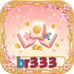 br333