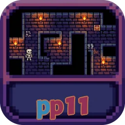 pp11