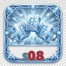 s08